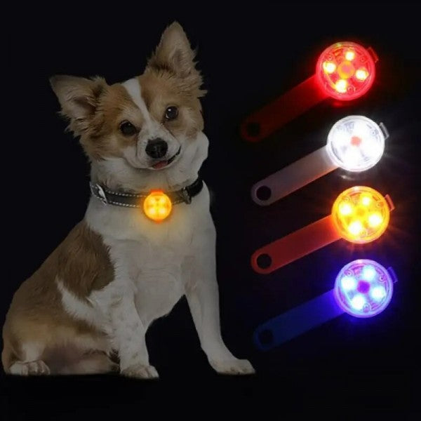 LED Segurança p/Animal