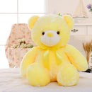 Urso De Pelúcia Iluminado 50 Cm